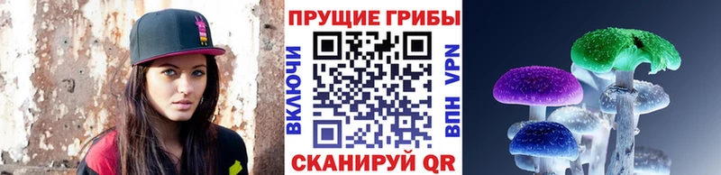 Галлюциногенные грибы Cubensis Ясногорск